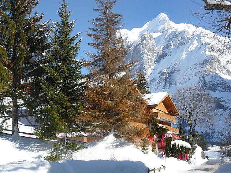 Appartement Firstsunne à Grindelwald Extérieur photo